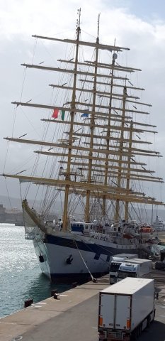 royal clipper 2